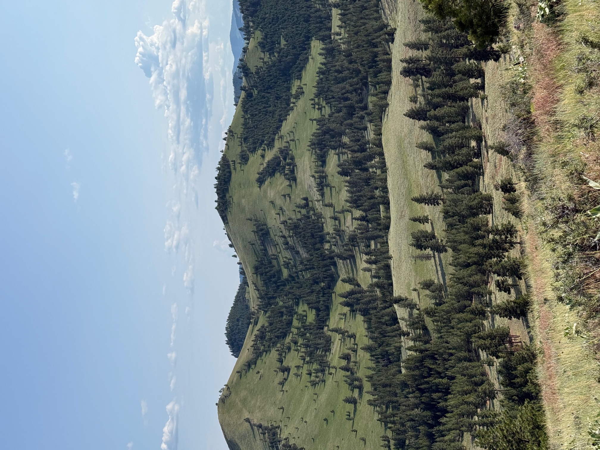 Rolling green Montana hills and mountain landscape near FSG training facility
