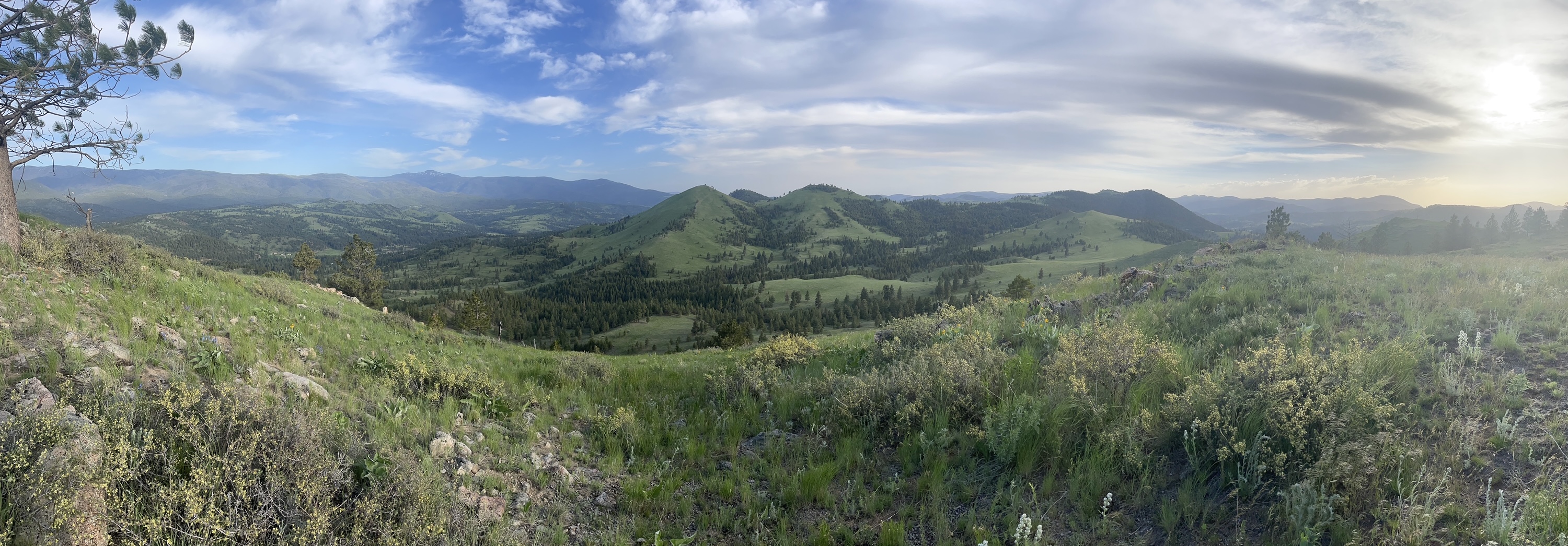 Panoramic view of Montana mountain valleys used for academic field research at First Services Group