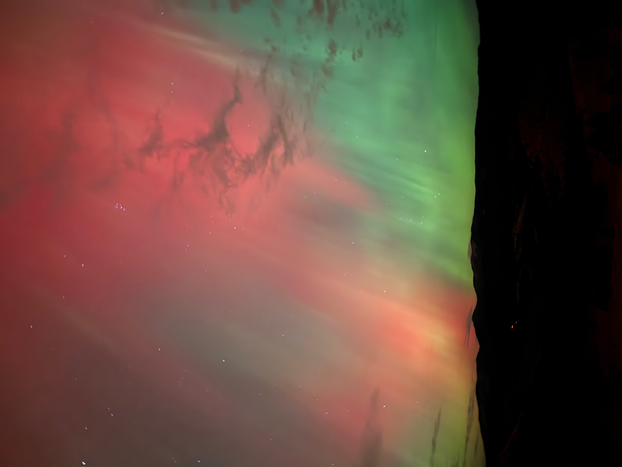 Horses grazing on open ranch land at the First Services Group Montana property